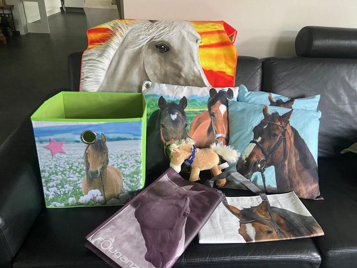 Paarden kussens en meer, Diversen, Sinterklaas, Zo goed als nieuw, Ophalen of Verzenden