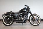 Harley-Davidson SPORTSTER IRON 883 (bj 2009), Motoren, Motoren | Harley-Davidson, Chopper, Bedrijf, Meer dan 35 kW