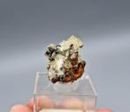 Adamiet - Mapimi, Mexico (UV LW), Ophalen of Verzenden, Mineraal