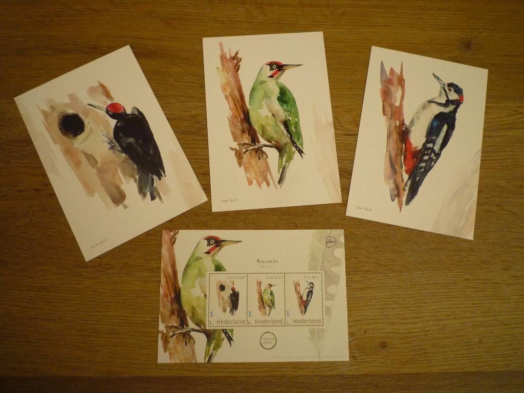 Zwarte specht groene specht bonte specht vogels Michelle, Verzamelen, Ansichtkaarten | Dieren, Voor 1920, Vogel, Ophalen of Verzenden