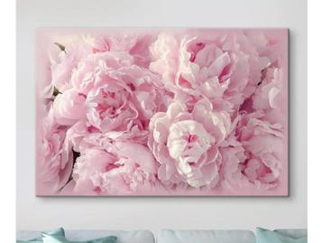 pioenrozen canvas 120 x 80 nieuw in doos mat kleurig beschikbaar voor biedingen