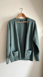 William Lockie vest, Verzenden, Gedragen, Maat 48/50 (M), Blauw