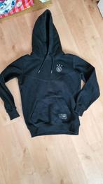 Ajax Amsterdam Hoodie Maat 164, Ophalen of Verzenden, Zo goed als nieuw, Ajax, Jongen of Meisje