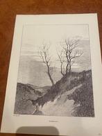 Prenten door Hendrik Christiaan Spruit 1881-1942 Landschappe, Ophalen, Natuur, Gebruikt, Voor 1940
