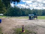 Plek vrij op paddock paradise in Garderen, Dieren en Toebehoren, Weidegang