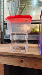 Terrarium, Dieren en Toebehoren, Ophalen