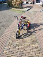 Van Raam Driewieler. Mini gebruikt., Ophalen of Verzenden, Gebruikt, Van Raam