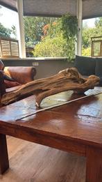 Kienhout groot, Dieren en Toebehoren, Ophalen, Plant(en), Steen of Hout