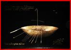 Ⰶ MILLENNIUM GOLD SHIP: IRELAND 2000 BU SET JUST PUBLISHED!, Verzenden, Overige landen, Setje