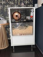 Mooie Omlet qute hamsterkooi hamster flat, September, Geslacht onbekend, Overige typen