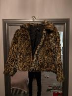 Katy Perry Jasje Tijgerprint - Maat S, Carnaval, Ophalen of Verzenden, Zo goed als nieuw, Kleding