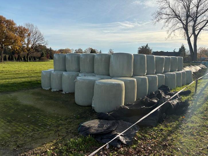 Maïs balen ronde balen, Zakelijke goederen, Agrarisch | Veevoer, Ophalen