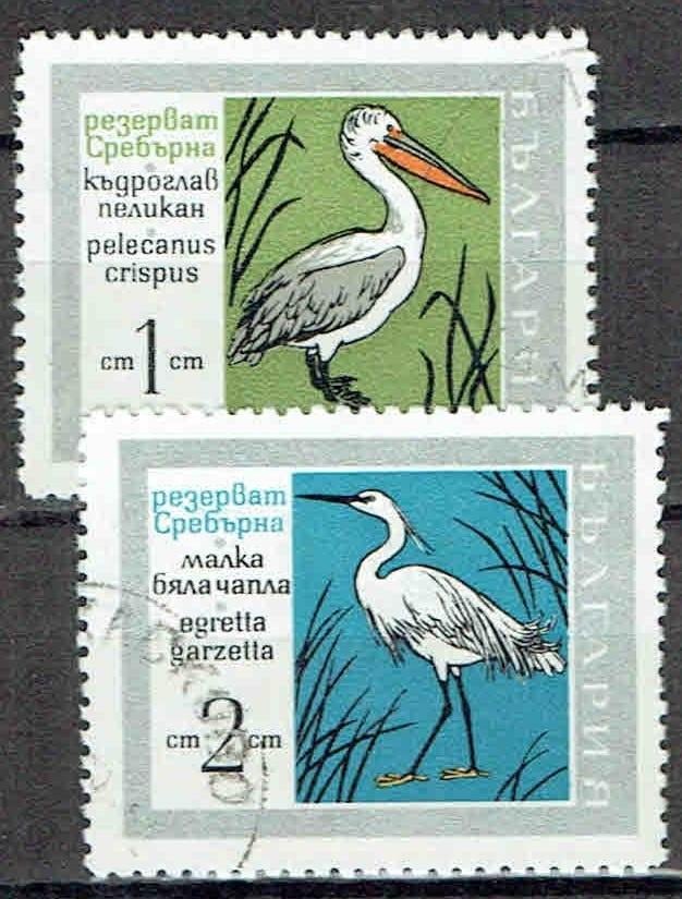 Bulgarije 1960 Vogels Pelikaan Ooievaar, Verzenden, Gestempeld, Dier of Natuur