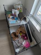 Cavia draadkubus kooi, Dieren en Toebehoren, Knaagdieren en Konijnen | Hokken en Kooien, Kooi, 75 tot 110 cm, Cavia, Ophalen