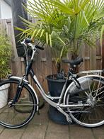 Gazelle damesfiets, Ophalen, Zo goed als nieuw, Gazelle