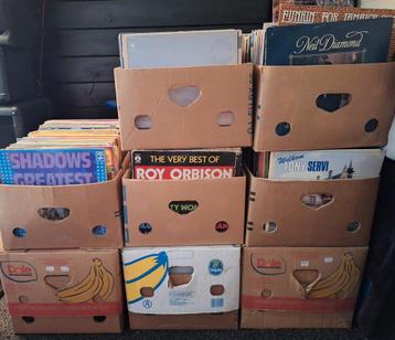Grote partij vinyl lp's  beschikbaar voor biedingen