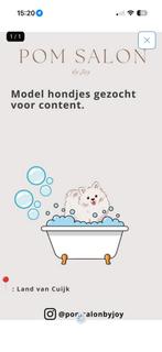 Dwergkees trimspecialist Knippen & wassen, Ophalen