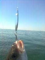 Flutter pilker(s) van 120 gram., Watersport en Boten, Ophalen of Verzenden, Nieuw, Dobber of Lood