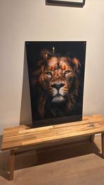 Plexiglas print - Leeuw (60x90), Ophalen