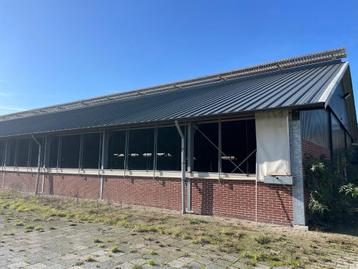 Ligboxenstal, Stal, Staalconstructie beschikbaar voor biedingen