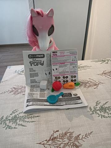 Zoomer show pony  beschikbaar voor biedingen