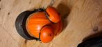 Helm met gehoorbescherming, Doe-het-zelf en Verbouw, Ophalen of Verzenden