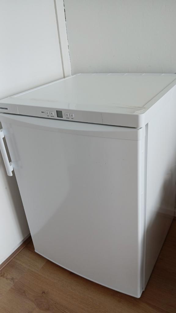 Diepvries, Witgoed en Apparatuur, Vriezers en Diepvrieskisten, Zo goed als nieuw, Vrieskast, Ophalen