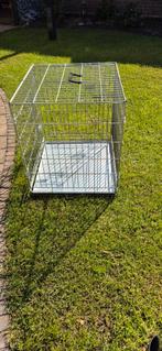 Honden benchs    55 breed 65 lang 60 hoog.., Ophalen, Zo goed als nieuw, 110 cm of meer, Minder dan 65 cm