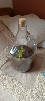 Flessentuin, Ophalen, Zo goed als nieuw, Glas, Minder dan 50 cm