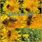 Aangeboden: Bijen voor bestuiving omg.25km Arnhem, Bijen