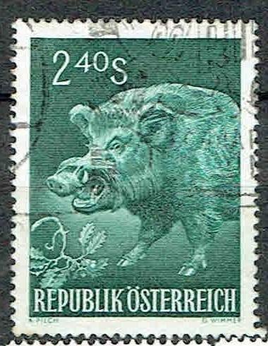 Oostenrijk 1959 Everzwijn, Postzegels en Munten, Verzenden, Gestempeld, Dier of Natuur