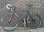 Giant Defy maat L, 28 inch, Aluminium, Meer dan 20 versnellingen, 53 tot 57 cm