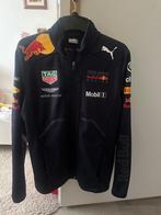Max Verstappen softshell jas, Ophalen of Verzenden, Zo goed als nieuw, Formule 1