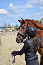 E pony te koop, Dieren en Toebehoren, Pony's, Met stamboom, 11 jaar of ouder, Recreatiepony, Merrie