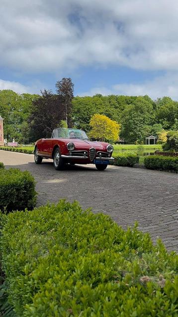 Alfa Romeo Guilietta Spider 1300 101 Series beschikbaar voor biedingen