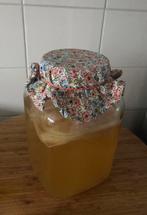 Kombucha Scoby - Biologisch en incl. startvloeistof!, Diversen, Ophalen