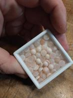 Lot roze opaal cabochons, Ophalen of Verzenden