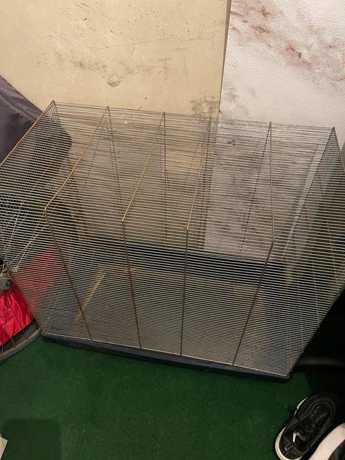 Groot metalen kooi, Dieren en Toebehoren, Knaagdieren en Konijnen | Hokken en Kooien, Zo goed als nieuw, Kooi, Minder dan 60 cm