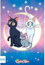 Sailor Moon poster, Rechthoekig Staand, Nieuw, Ophalen of Verzenden, A1 t/m A3