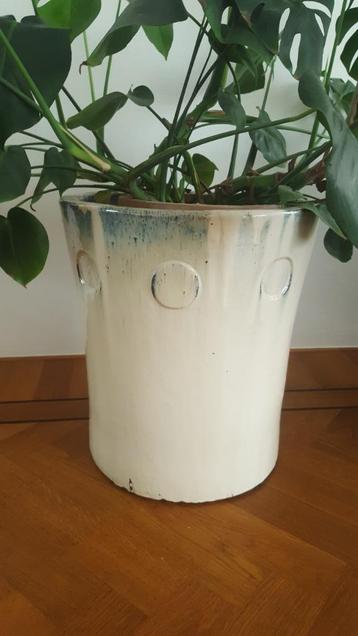 Bloempot (Geglazuurd) beschikbaar voor biedingen