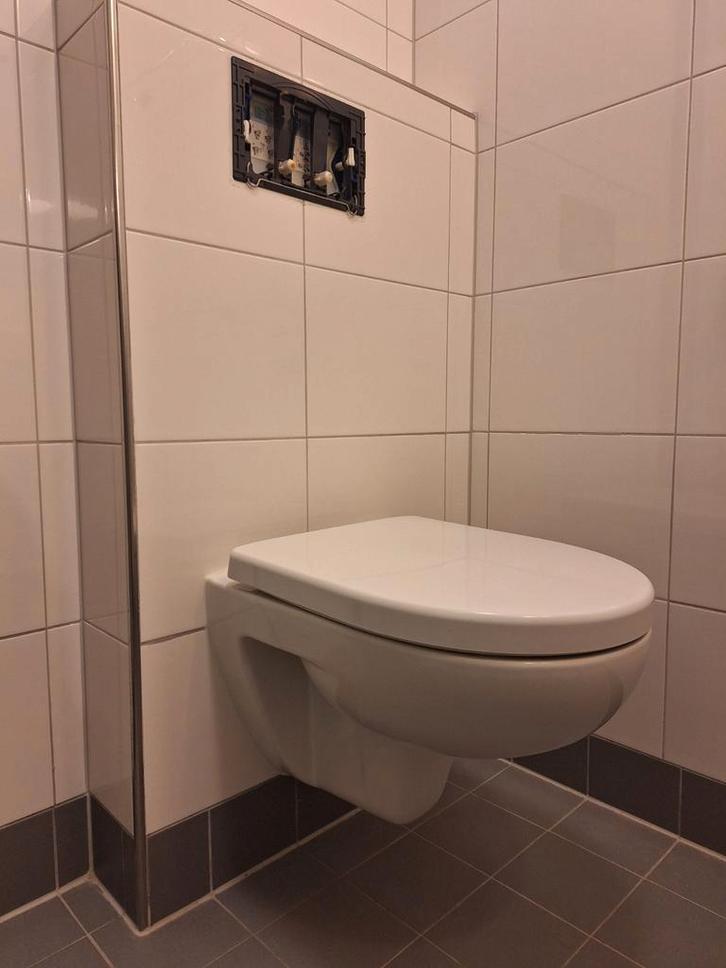 Sphinx hangtoilet, Doe-het-zelf en Verbouw, Sanitair, Zo goed als nieuw, Toilet, Ophalen