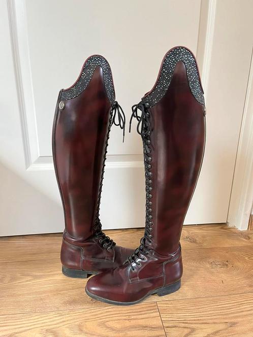 Celeris Bia bordeaux rood maat 36, Dieren en Toebehoren, Paardrijkleding, Nieuw, Schoeisel, Dressuur, Ophalen of Verzenden