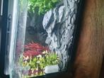 Aquarium., Dieren en Toebehoren, Ophalen of Verzenden, Zo goed als nieuw, Leeg aquarium