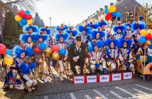 32 mooie fleurige muziek pakken, Kleding | Dames, Carnavalskleding en Feestkleding, Zo goed als nieuw, Ophalen