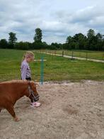 Shetlanders, Dieren en Toebehoren, Ophalen of Verzenden, Overige soorten
