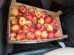 Cider appels, Ophalen