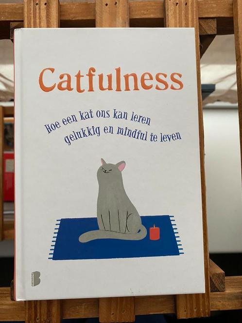Paolo Valentino - Catfulness, Boeken, Psychologie, Zo goed als nieuw, Persoonlijkheidsleer, Ophalen of Verzenden