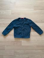 Hema vestje gebreid, maat 74, in perfecte staat, Ophalen of Verzenden, Zo goed als nieuw, Meisje, Truitje of Vestje