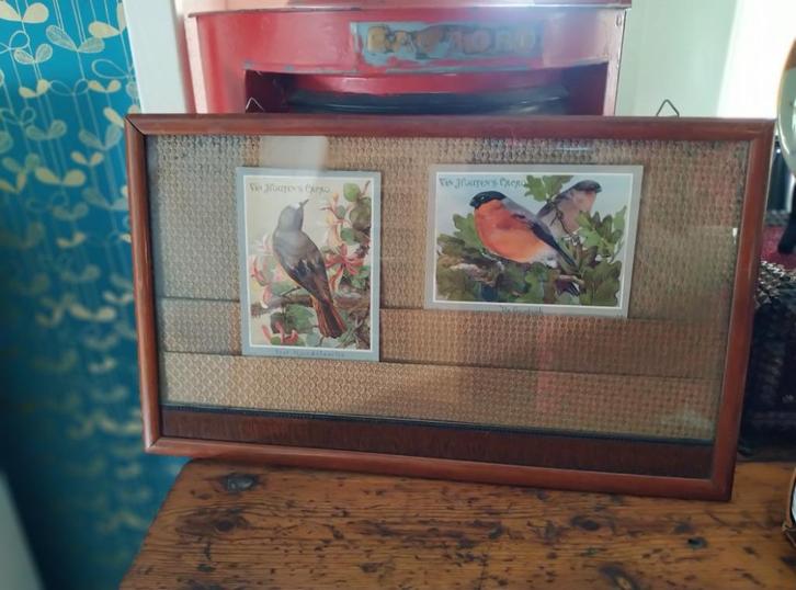 Van Houten’s roodstaartje en goudvinken in antieke lijst, Huis en Inrichting, Woonaccessoires | Wanddecoraties, Gebruikt, Verzenden