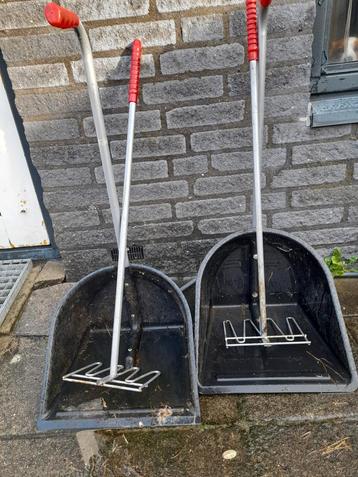 2 mest boy (s) beschikbaar voor biedingen